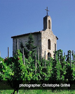 Church and Vineyards